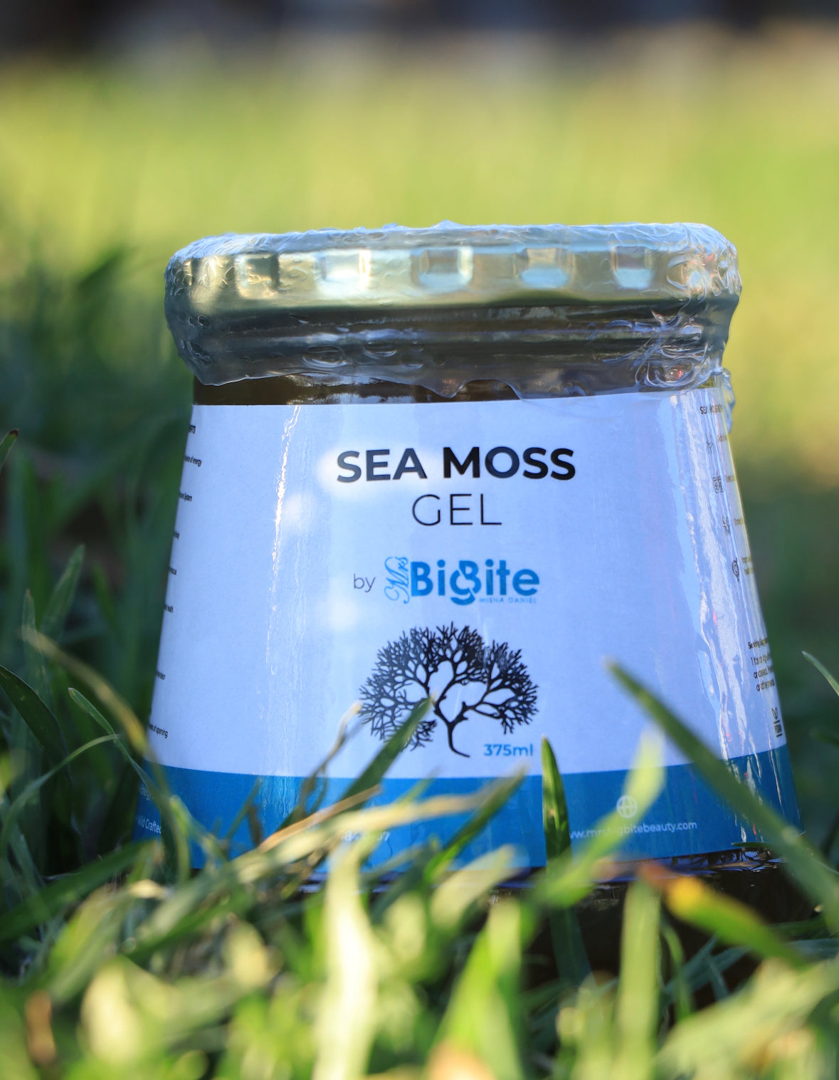 Seamoss – MrsBigBite Beauty