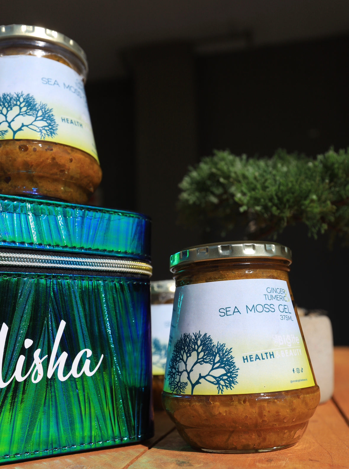 Seamoss Ginger + Turmeric (Limited Edition)