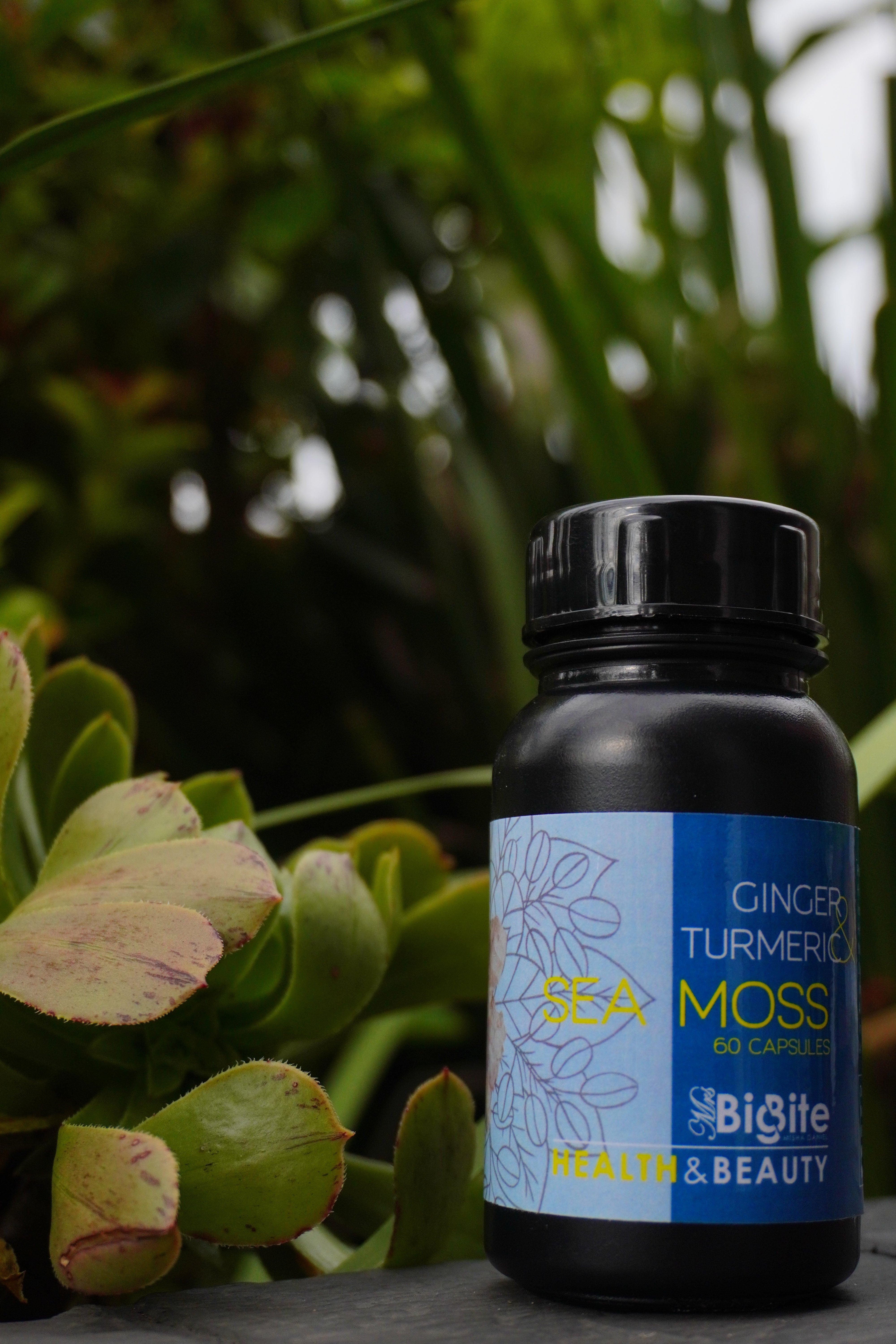 Seamoss Capsules Ginger & Turmeric